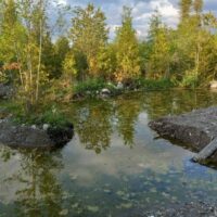 20230521_190203-1024x768-1