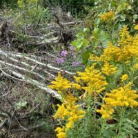 20230910_143637-1024x768-1