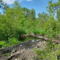 IMG_20220611_164640984_HDR-1024x768-1