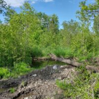 IMG_20220611_164640984_HDR-1024x768