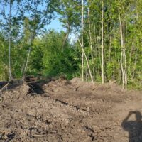 IMG_20220723_184131990_HDR-1024x768